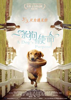 《扬名立万》单日票房1851万，走势稳健。